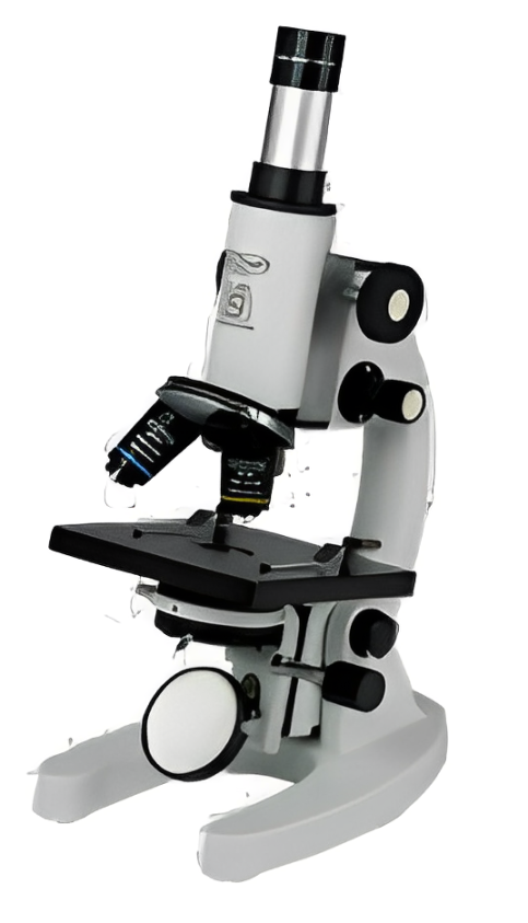 Compound Microscope
